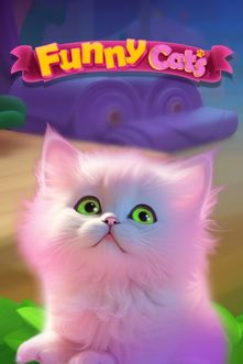 Funny Cats